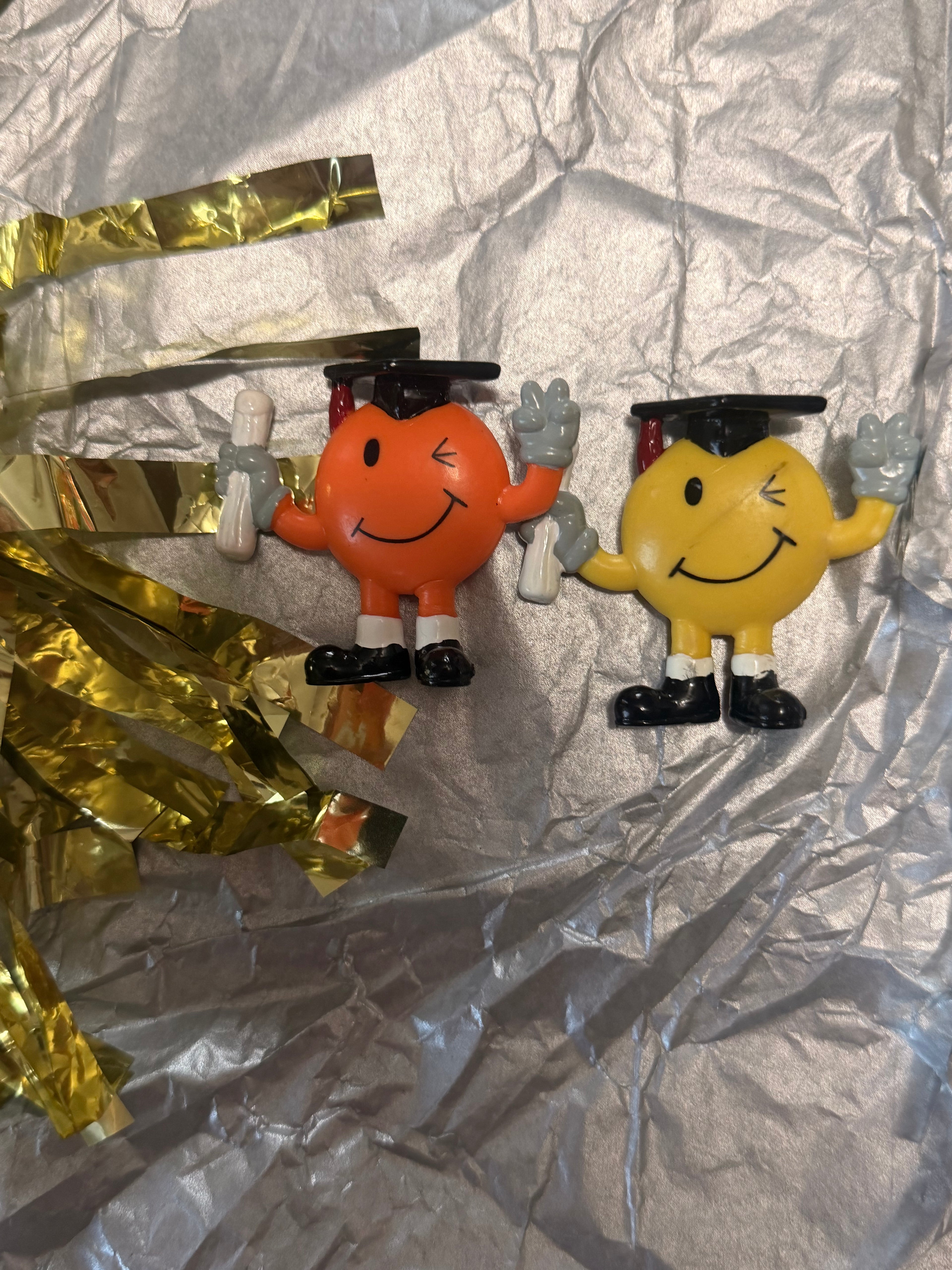 Graduation mini figure 2 pack